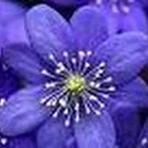 Meet your Posher, Najma